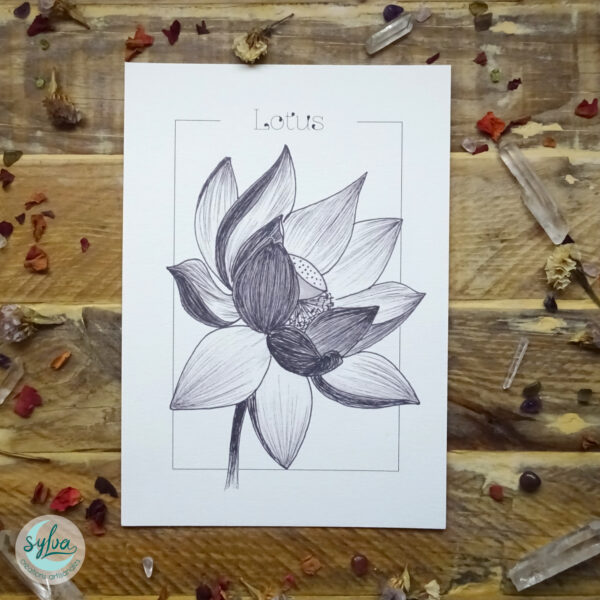 Lotus illustration sur papier texturée au format A5